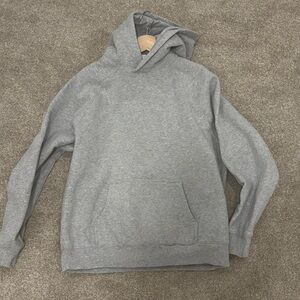 Aritzia Mega Raglan Hoodie